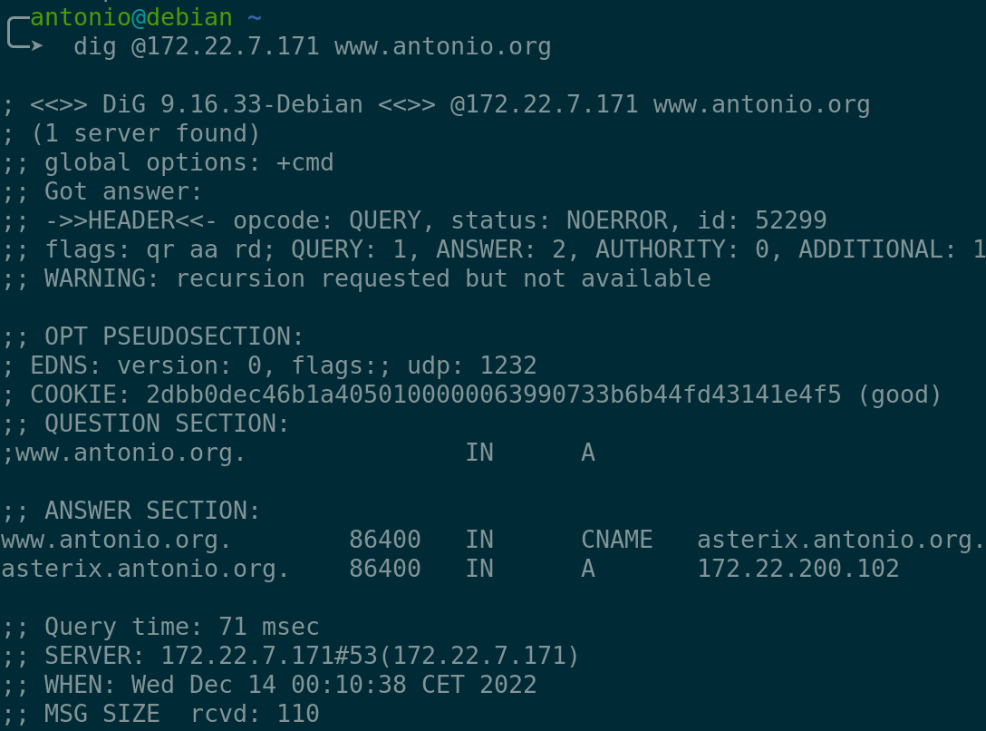 Descripción de la imagen