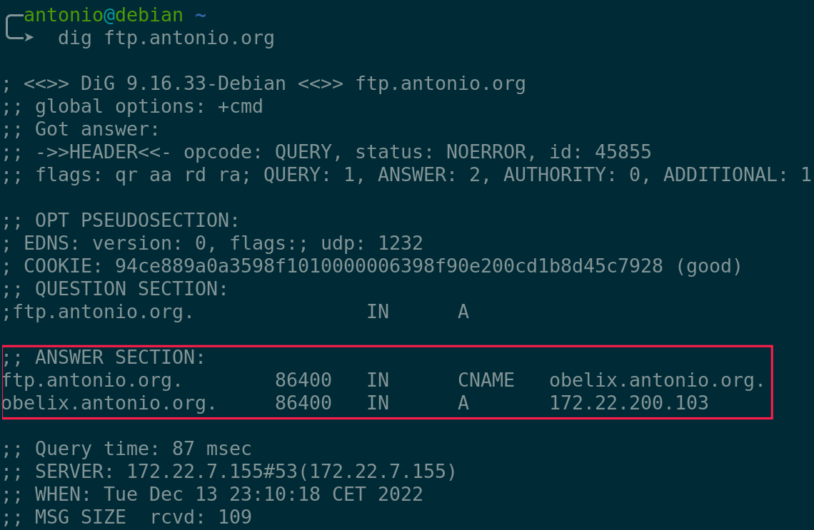 Descripción de la imagen