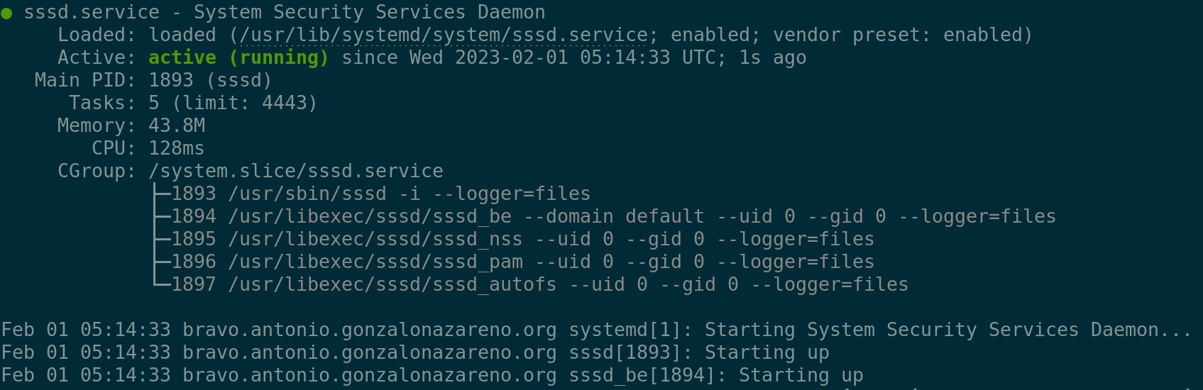Descripción de la imagen