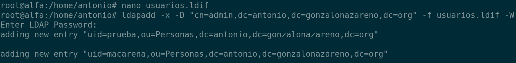 Descripción de la imagen