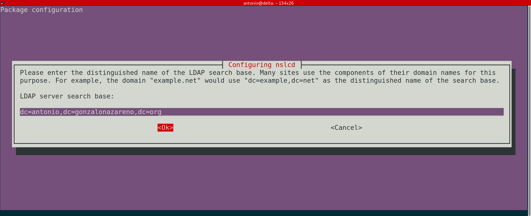 Descripción de la imagen