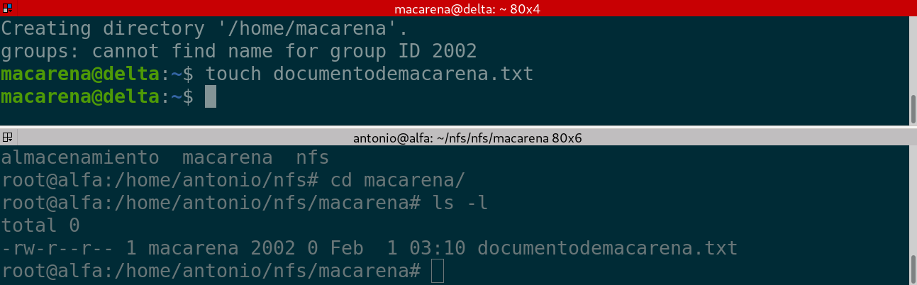 Descripción de la imagen